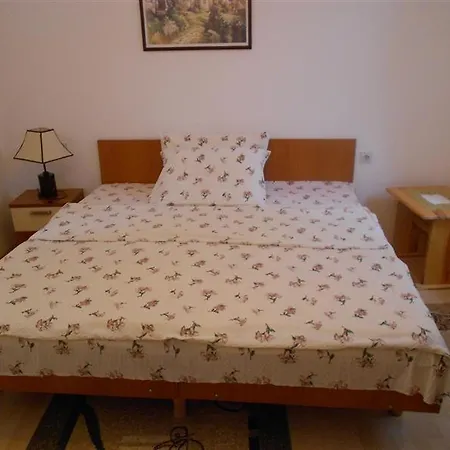 Apartment 2 Soko Banja